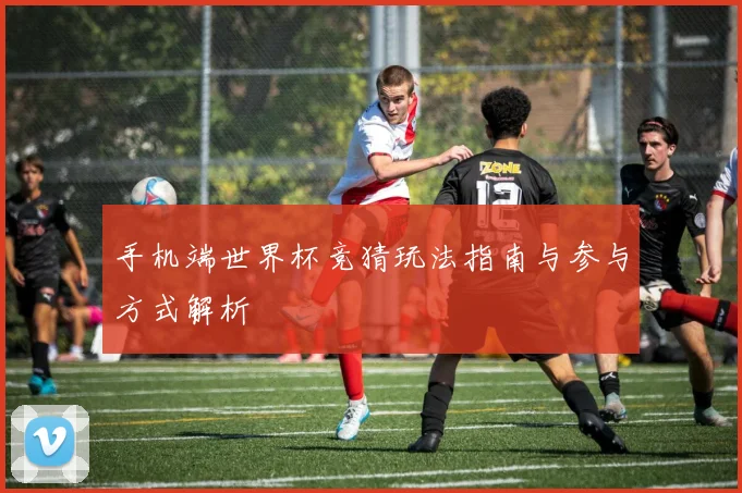 手机端世界杯竞猜玩法指南与参与方式解析