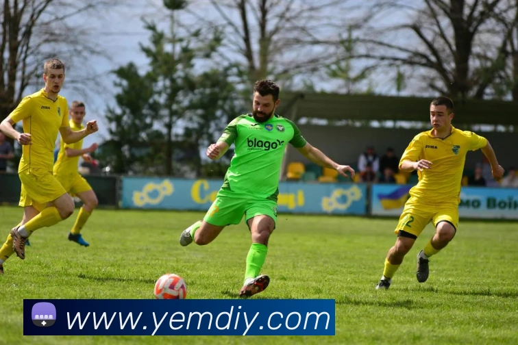 世界杯官网登录app平台生态图